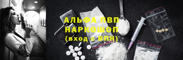ешки Горняк