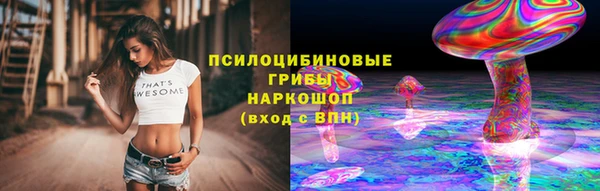 не бодяженный Горно-Алтайск