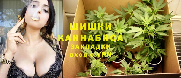 не бодяженный Горно-Алтайск