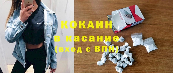 ешки Горняк