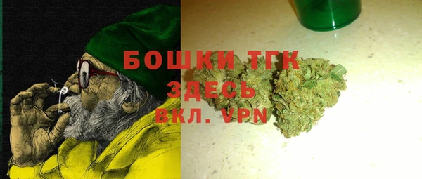 ешки Горняк